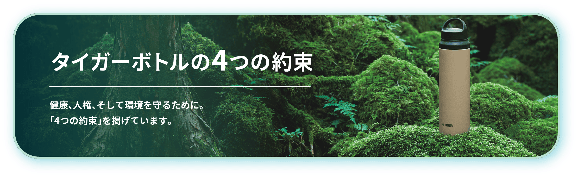 タイガーボトルの4つの約束 健康、人権、そして環境を守るために。「4つの約束」を掲げています。