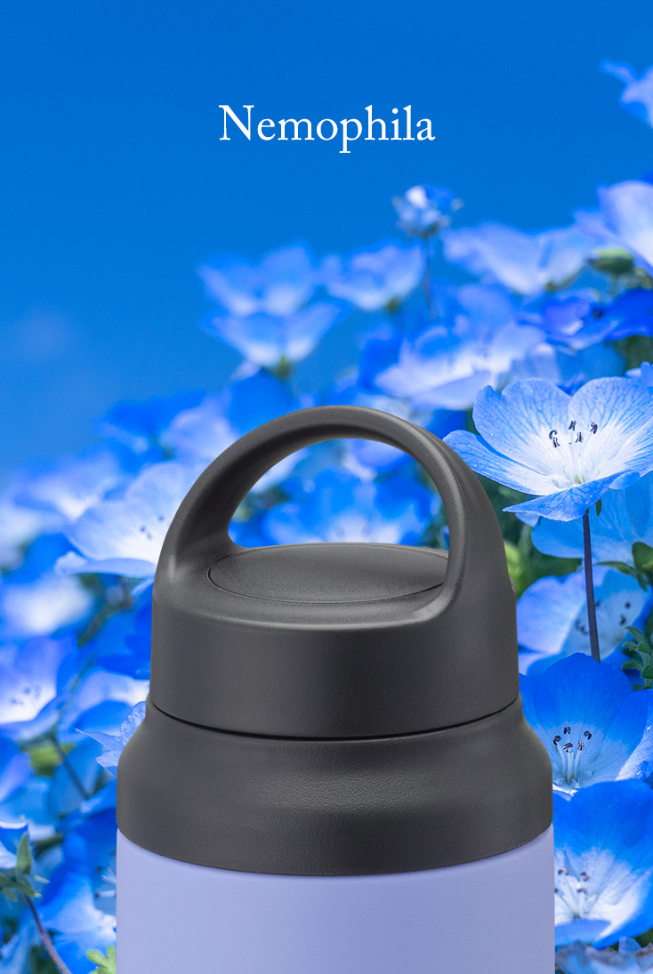 Nemophila &lang;AN&rang;