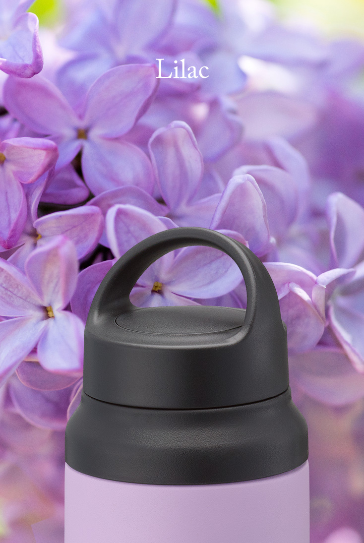 Lilac &lang;VZ&rang;