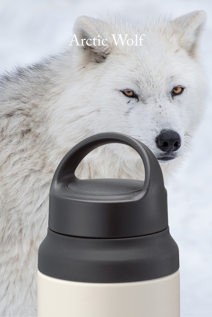 Arctic Wolf &lang;WZ&rang;