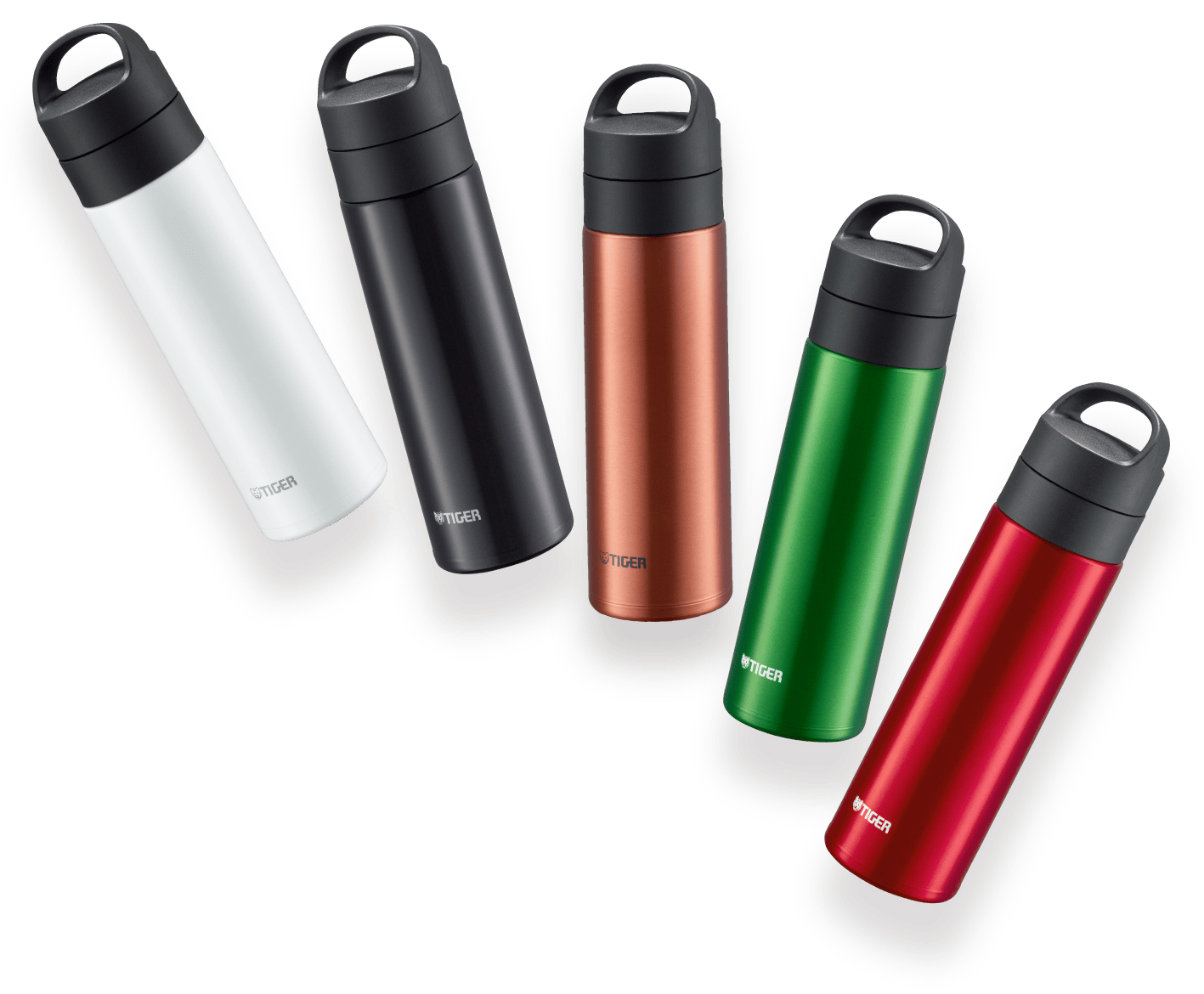 Vacuum Insulated Carbonated Bottle